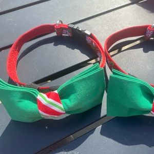 Lupine holiday collar with Joe the Boxer bow tie
